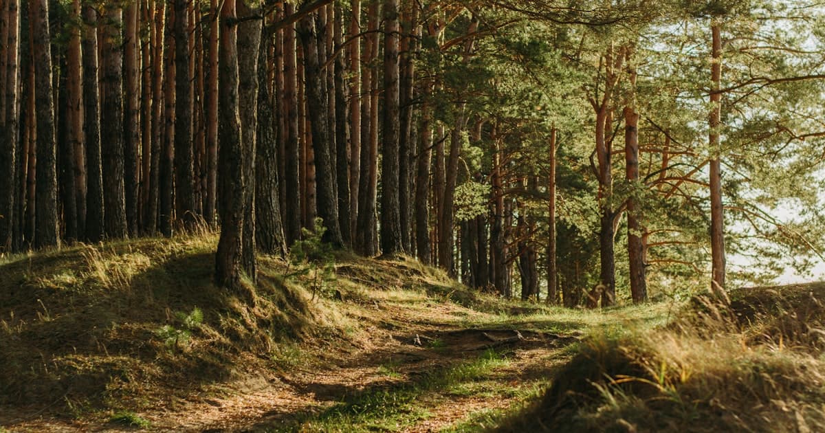 Northern California: Where the Wilderness Goes All the Way Down
