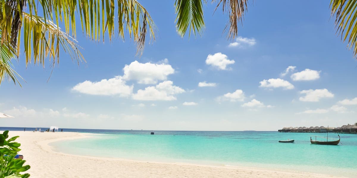 Where the Sea Gives You Back to Yourself: Athletes in Palawan and the Visayas