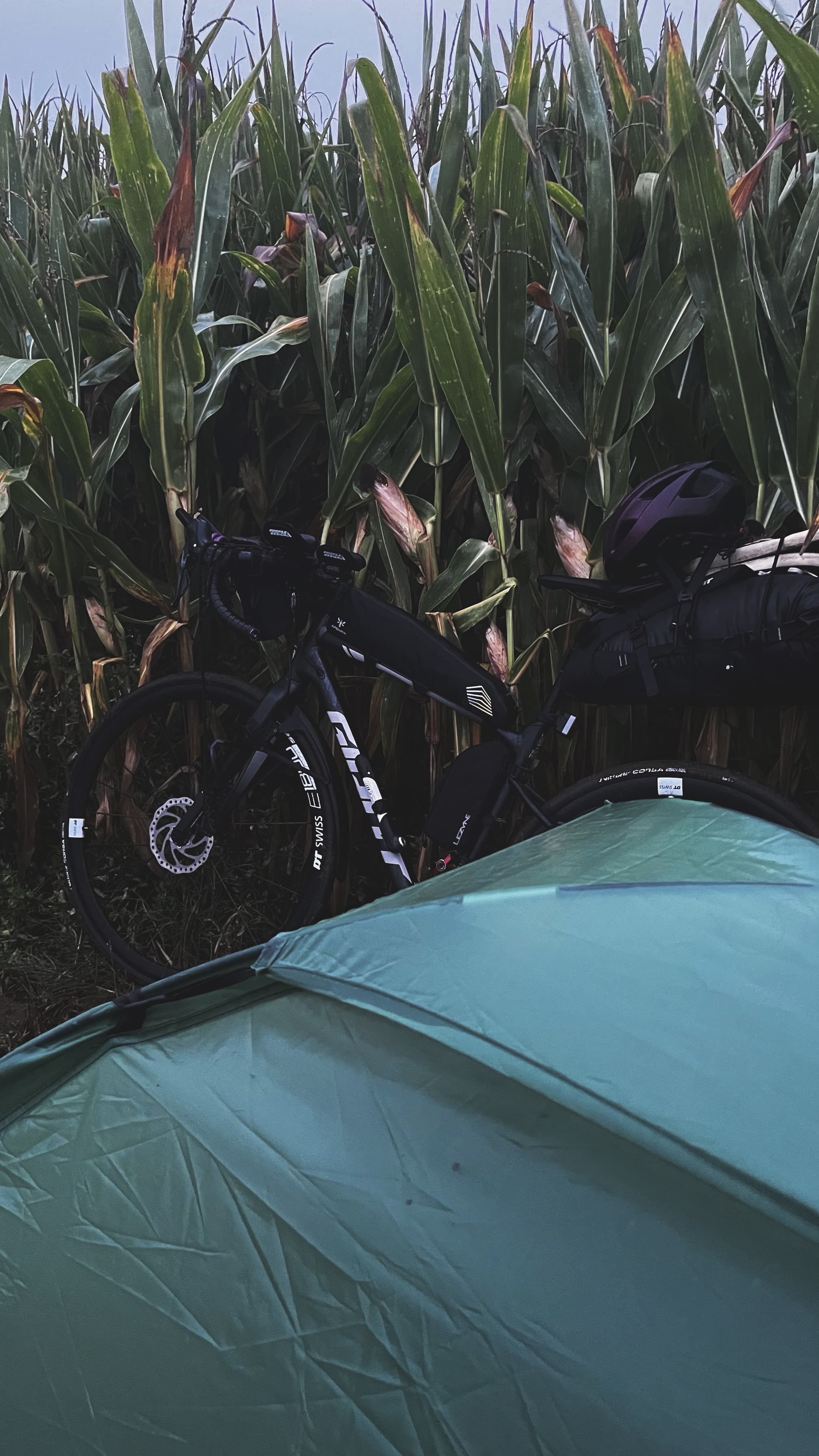 The tent and the bike