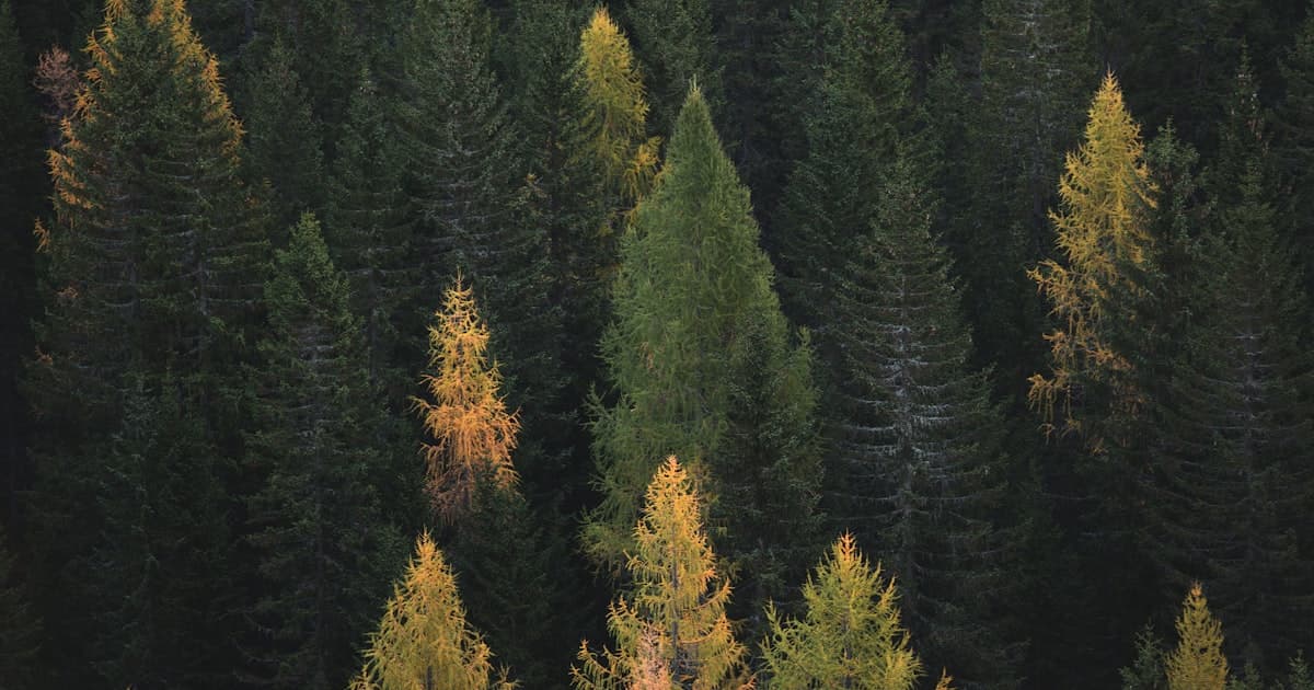 Where the Sky Comes Down to Meet You: Montana in Summer