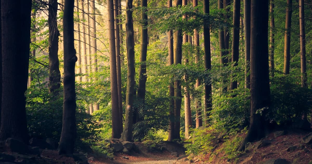 Vermont in Summer: The Mountains Are Asking Something of You