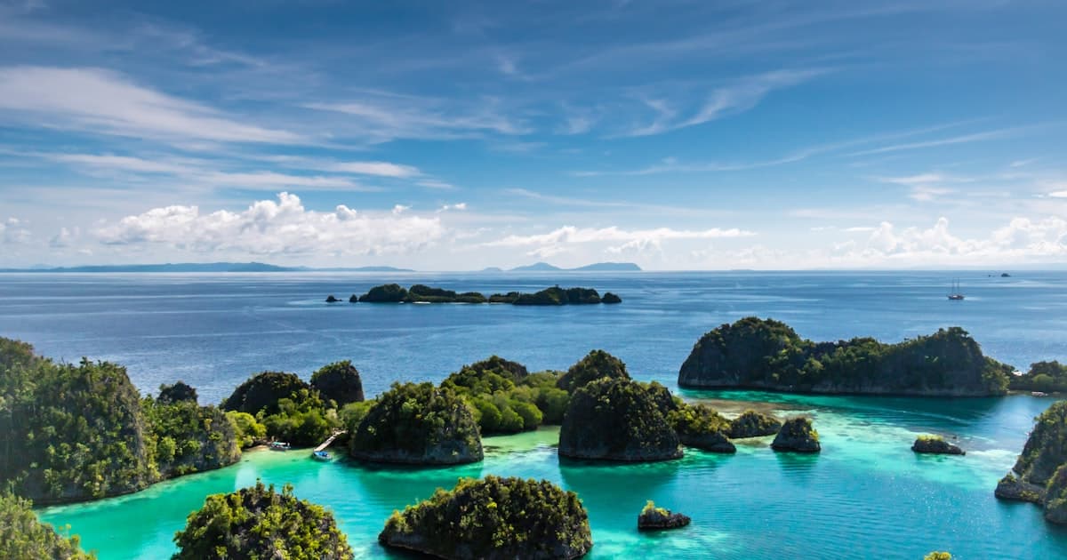 Where the Jungle Breathes: Sumatra in the Athletic Season